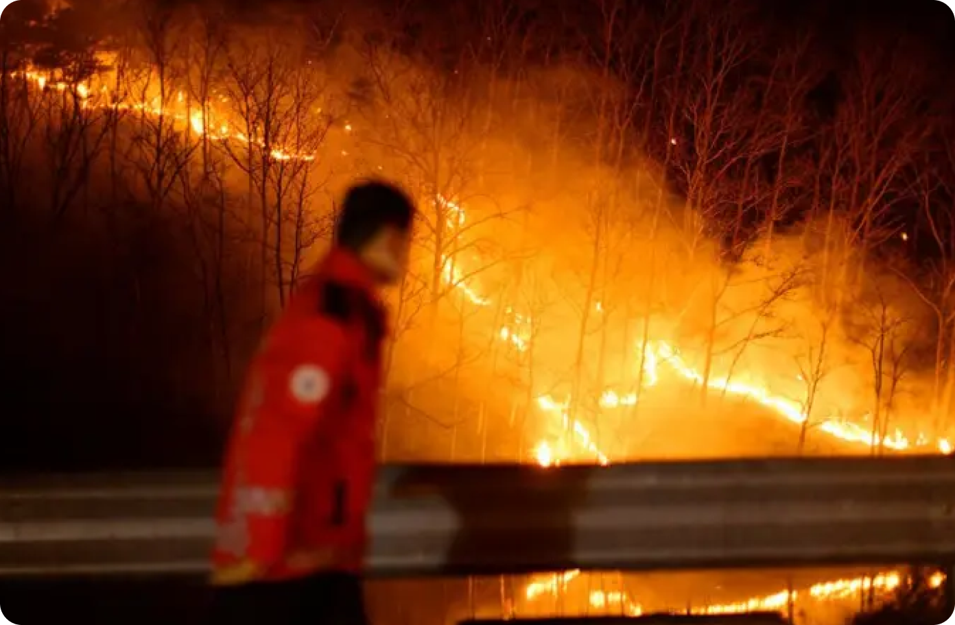Death toll rises to at least 22 as wildfires rage in South Korea
